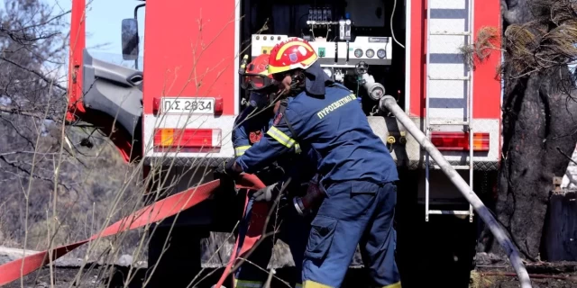 Φωτιά τώρα στην Βοιωτία - Άμεση η κινητοποίηση της πυροσβεστικής