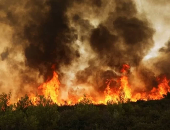 Συναγερμός στην πυροσβεστική με νέες φωτιές στην Ελλάδα - Σε ποιες περιοχές