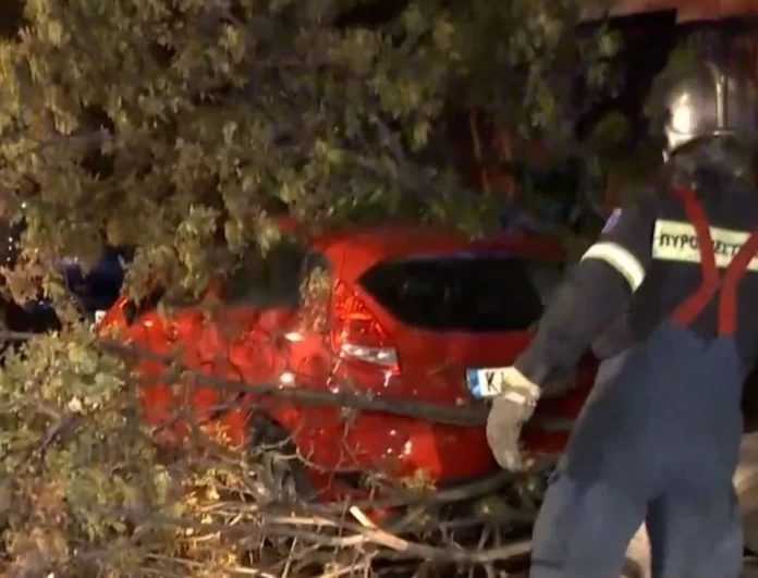 Κακοκαιρία Αθηνά - Χαμός στην Θεσσαλονίκη: Πτώσεις δέντρων, καταστράφηκαν αυτοκίνητα