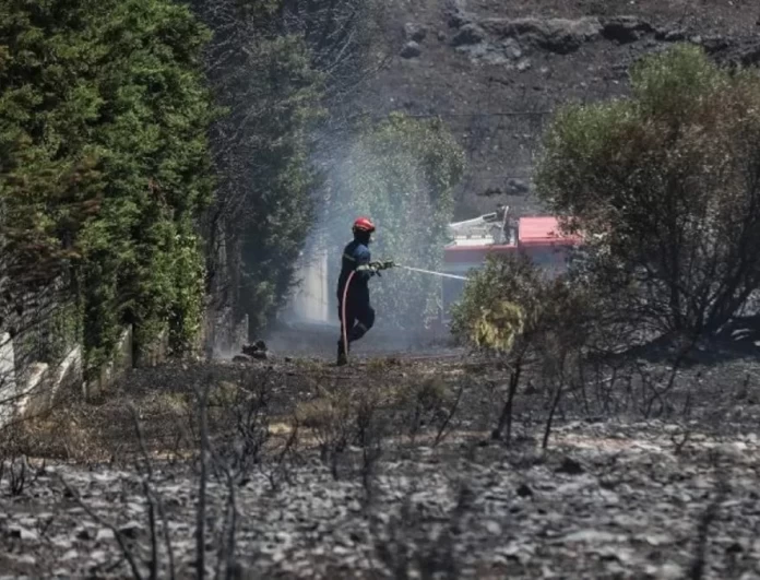 Φωτιά στην Πεντέλη: Ανακοινώθηκαν τα μέτρα στήριξης των πυρόπληκτων 