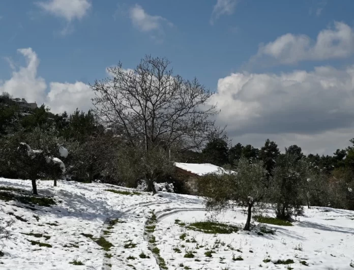 «Βαρυχειμωνιά με χιόνια μέχρι και στην Αττική»: Τι λένε τα μερομήνια μέχρι και τον Αύγουστο του 2023