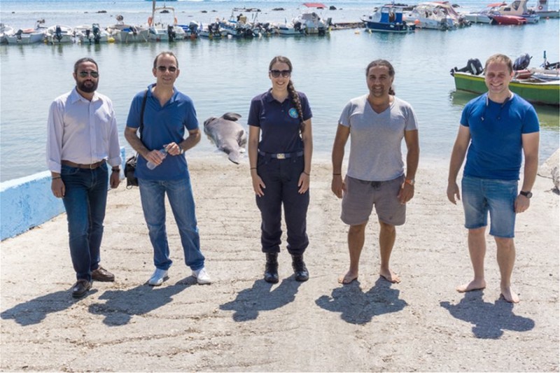 Τρόμος στη Ρόδο: Βρήκαν καρχαρία 436 κιλών!
