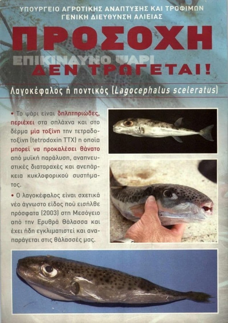 Ψάρια - δηλητήριο: Προκαλεί μυϊκή παράλυση! Μην το φάτε!