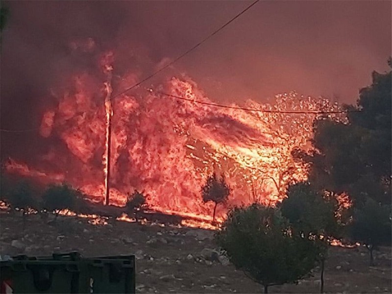 Φωτιά στην Ζάκυνθο: Ολονύχτια «μάχη» με τις φλόγες! Καμένα σπίτια και γενικές καταστροφές!