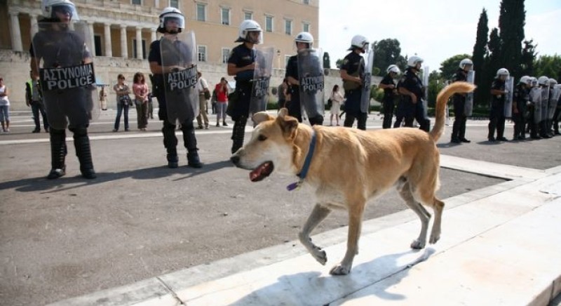 Σκύλος Ελλάδα