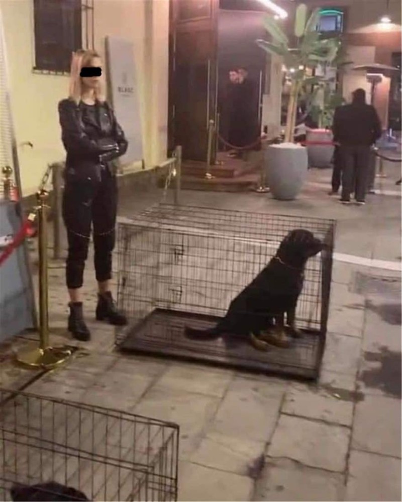 Σάλος στην Θεσσαλονίκη! Κέντρο διασκέδασης έκλεισε σκυλιά μέσα σε κλουβιά!