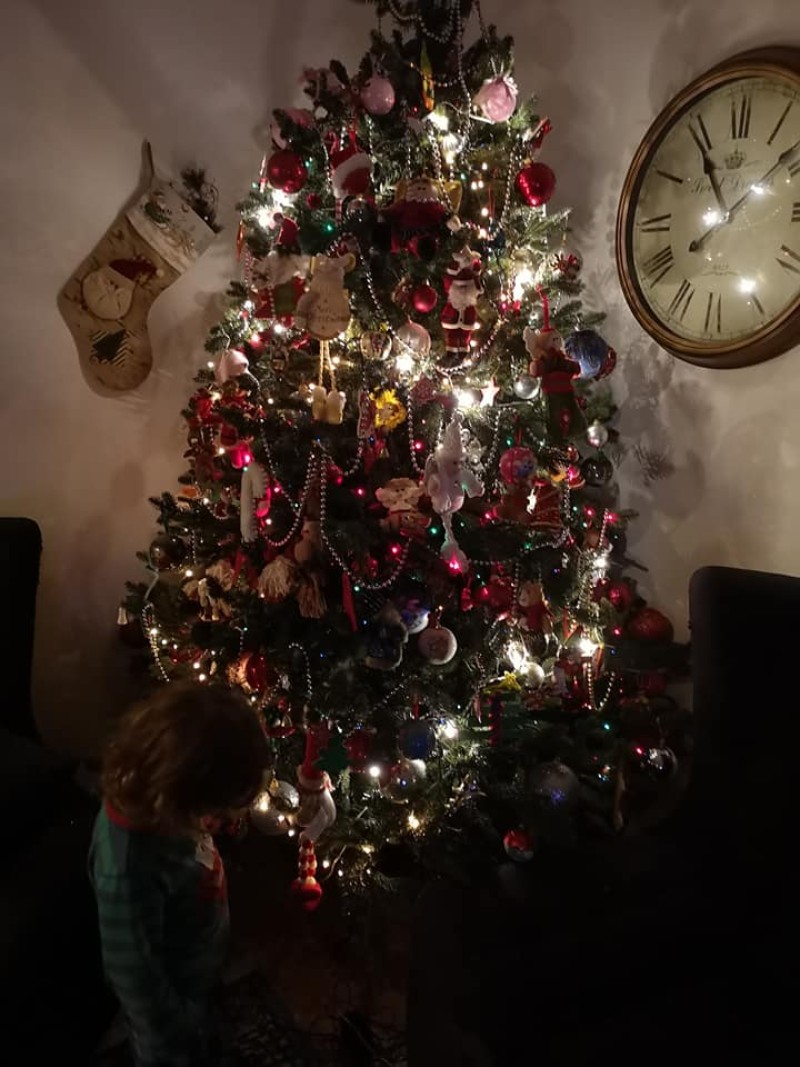 Χριστούγεννα δέντρο Ψυχίδου