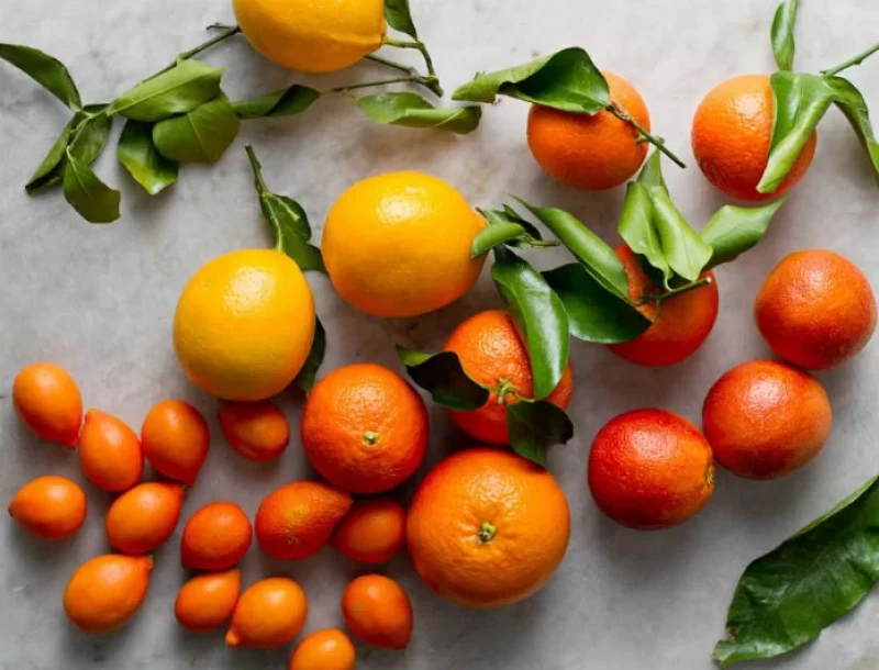Αυτά τα εσπεριδοειδή φρούτα θα σε βοηθήσουν να χάσεις βάρος και να αποφύγεις χρόνιες παθήσεις!