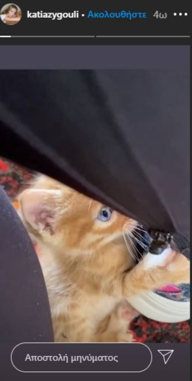 Κάτια Ζυγούλη Σάκης Ρουβάς γατάκι βίντεο instagram 