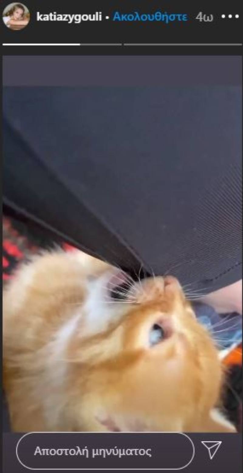 Κάτια Ζυγούλη Σάκης Ρουβάς γατάκι βίντεο 