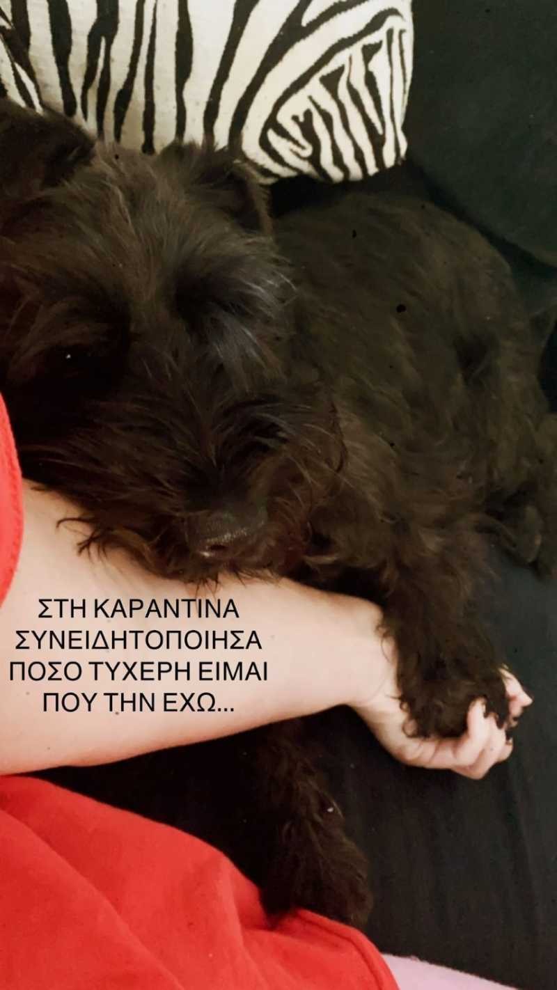 Μαρία Μπεκατώρου μήνυμα σκύλος