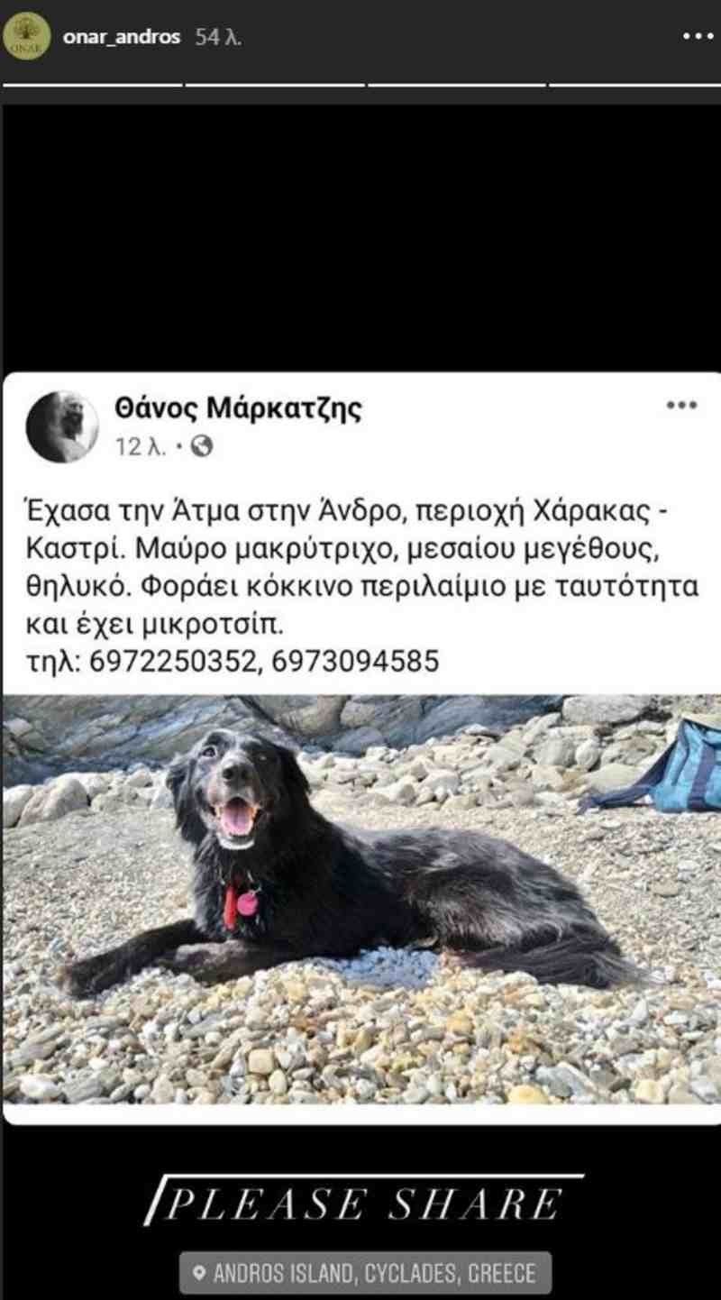 Ματέο Παντζόπουλος instagram