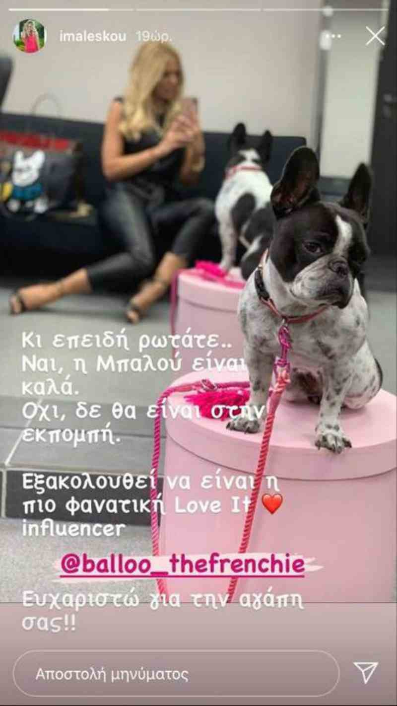 Ιωάννα Μαλέσκου Love It σκύλος