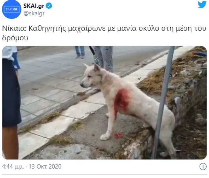 Νίκαια μαχαίρωσαν σκύλο
