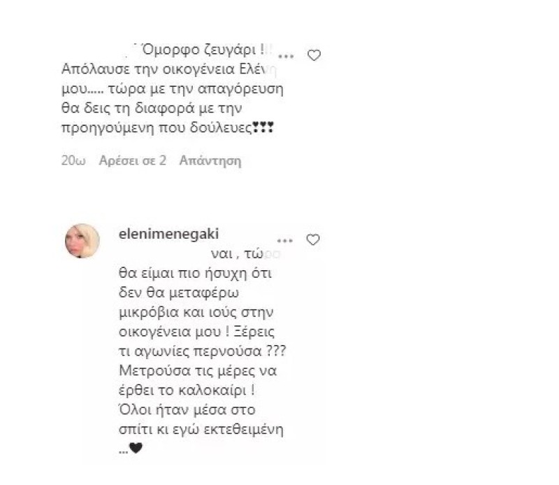 Ελένη Μενεγάκη σχόλιο Instagram