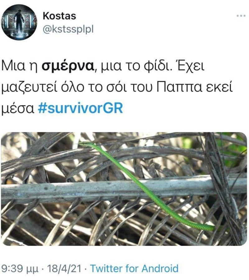  Survivor 4 twitter παρομοιάζουν την σμέρνα με τον Αλέξη Παππά