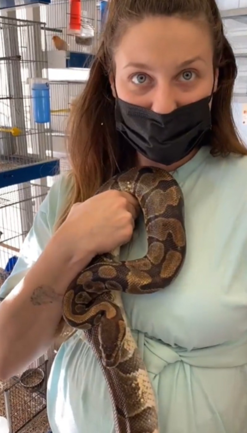 Βαλεντίνη Παπαδάκη η εγκυμονούσα σύντροφος του Κώστα Σόμμερ ποζάρει αγκαλιά με φίδι