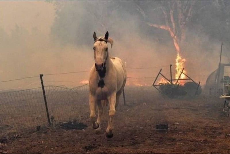 Φωτιά στη Βαρυμπόμπη 'Τσακίζει' κόκκαλα το μήνυμα του Τάσου Χαλκιά