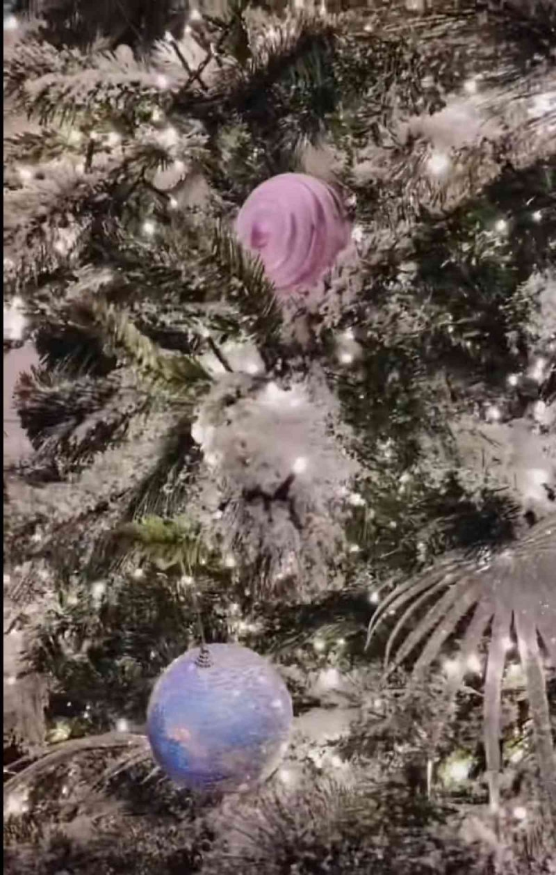 Τζούλια Νόβα - Χριστουγεννιάτικο δέντρο