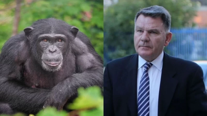 Αλέξης Κούγιας: Αναλαμβάνει την υπόθεση θανάτωσης του χιμπατζή στο Αττικό Ζωολογικό Πάρκο