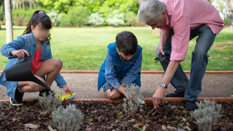 Κρατήστε το μακριά από παιδιά - Το φυτό που σίγουρα έχεις στον κήπο του σπιτιού και μπορεί να σκοτώσει