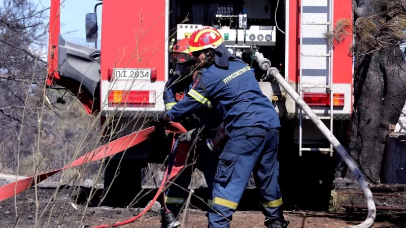 Φωτιά τώρα στην Βοιωτία - Άμεση η κινητοποίηση της πυροσβεστικής