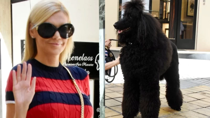 Η Σάσα Σταμάτη κάνει βόλτα το σκύλο της, με Gucci τσάντα αξίας 2.050 ευρώ και παπούτσια 750 ευρώ, στη Βουκουρεστίου