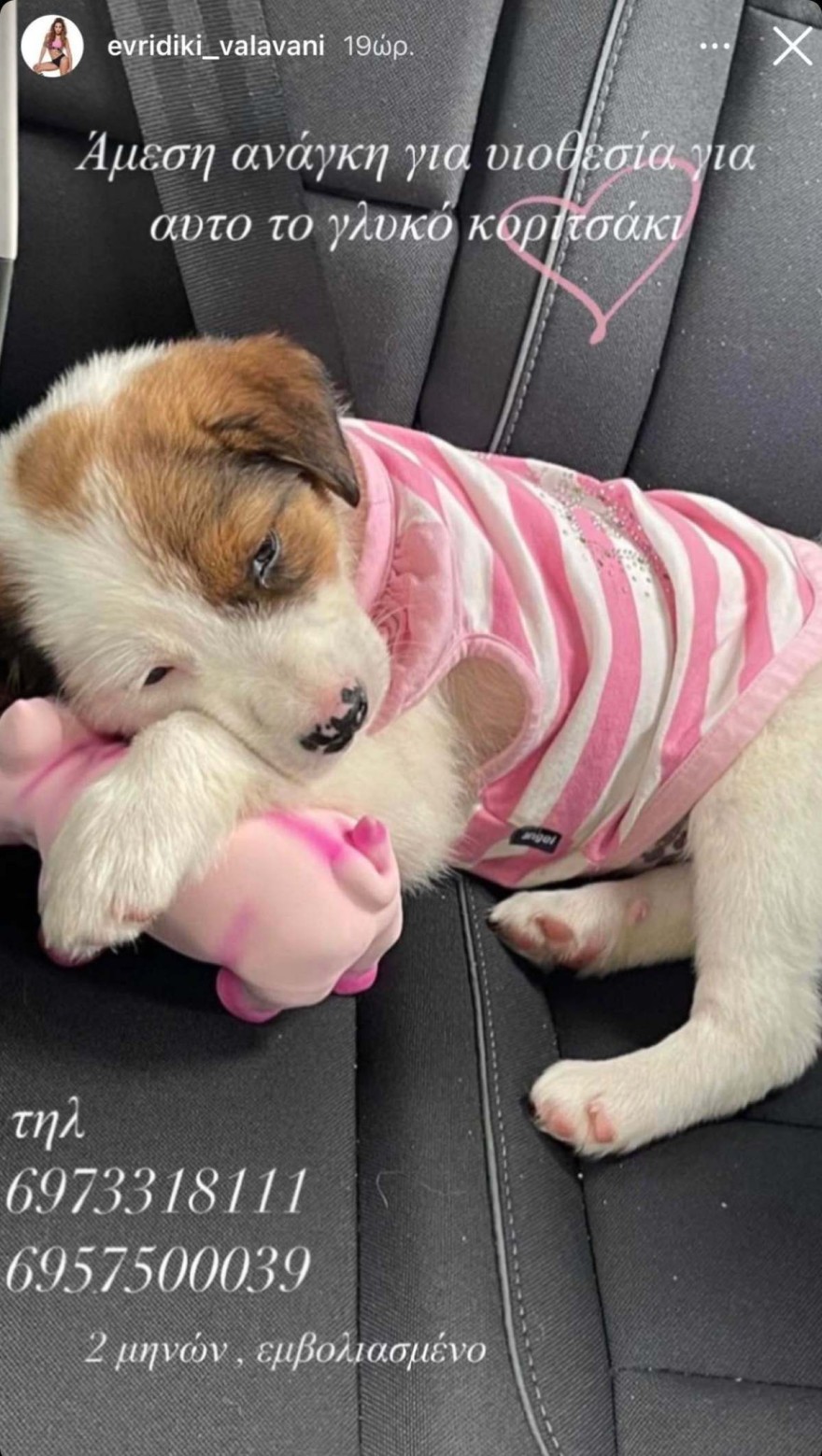 Ευρυδίκη Βαλαβάνη σκύλος υιοθεσία Instagram