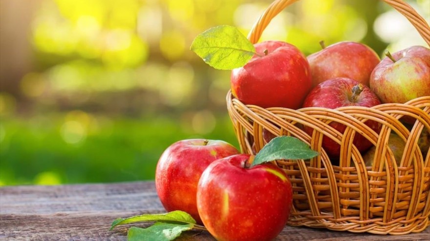 Το πρόγραμμα της δίαιτας του μήλου