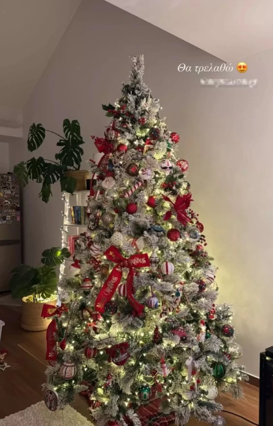 Όχι ένα αλλά τέσσερα Χριστουγεννιάτικα δέντρα φέτος: Το σπίτι υπερπαραγωγή της Κόνι Μεταξά και του Μάριου Καπότση