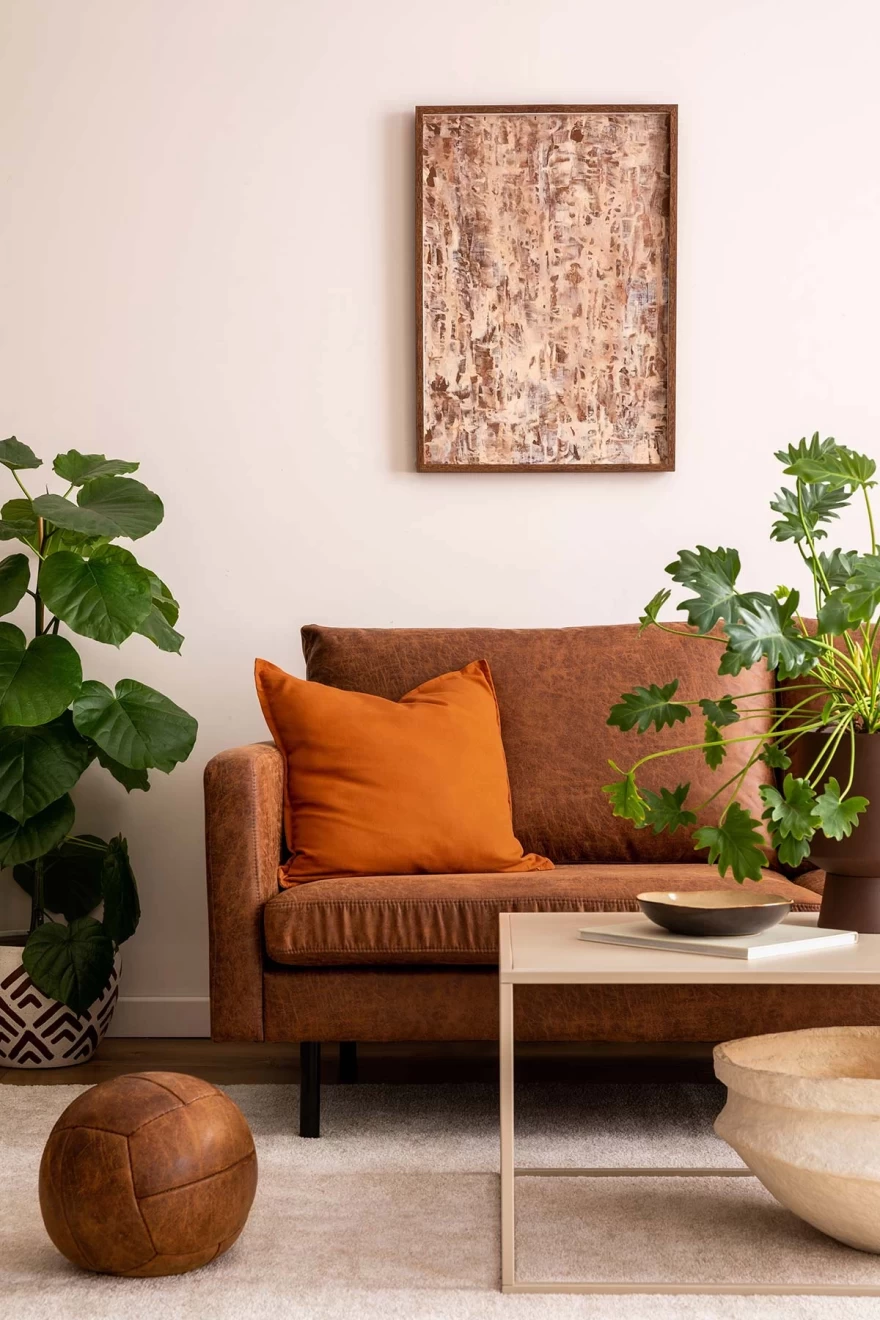 καναπές και φυτά