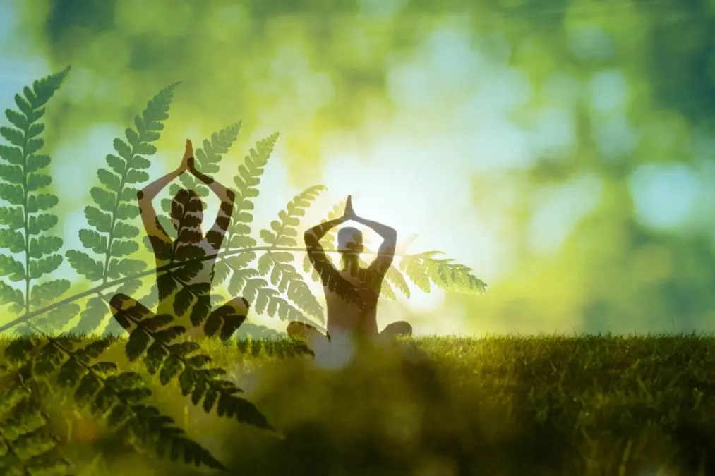 ζευγάρι κάνει γιόγκα