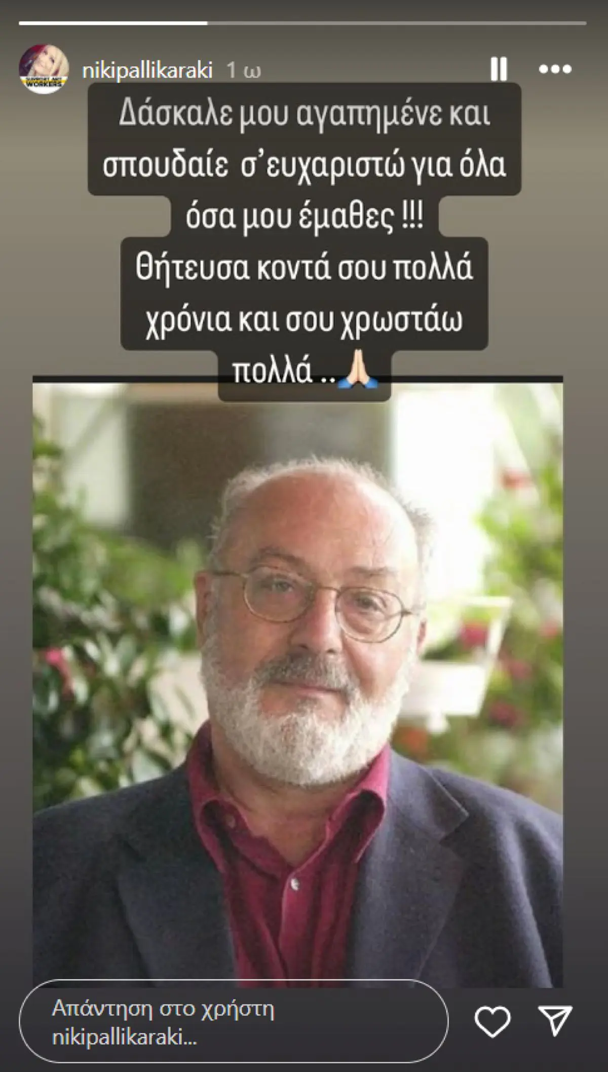 Η ανάρτηση της Νίκης Παλληκαράκη στο Instagram.