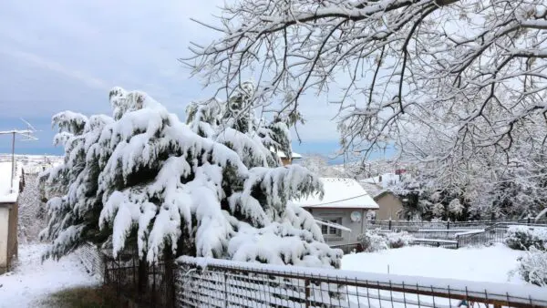 Χιονισμένη περιοχή