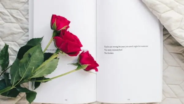 Ένα βιβλίο με κόκκινο τριαντάφυλλο