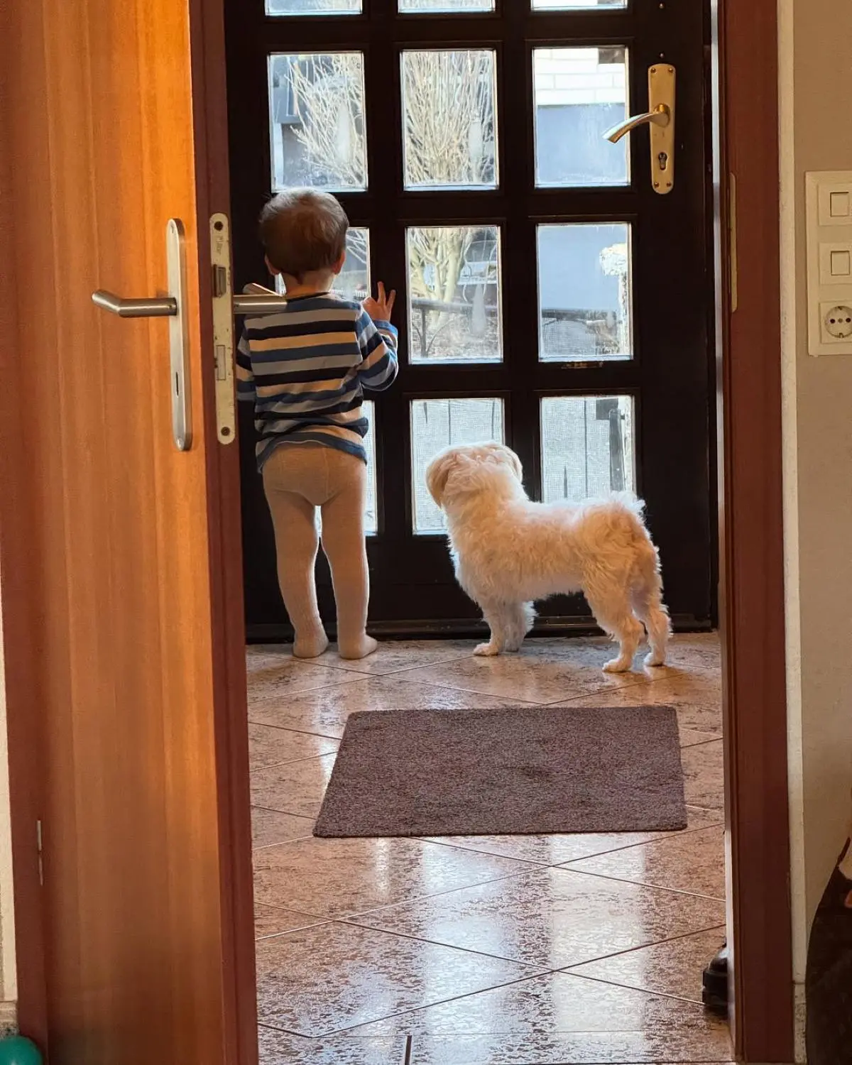 Ο γιος της Νάργες με τον σκύλο στο σπίτι