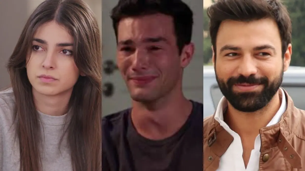Γη της ελιάς Βασιλική Μιλτιάδης Στέφανος