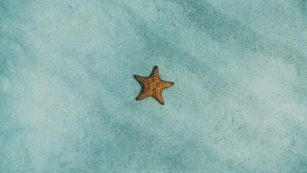 Εορτολόγιο