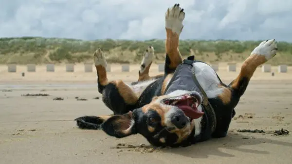 Εορτολόγιο