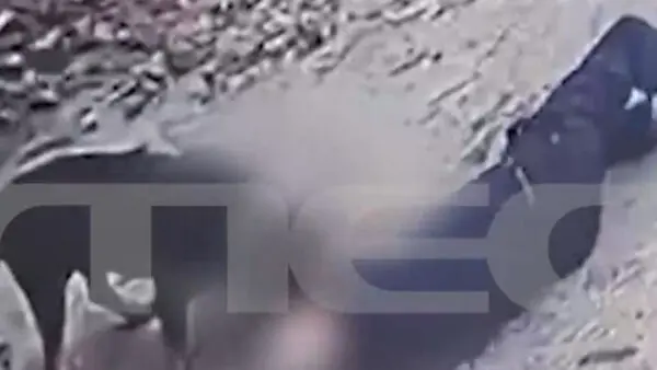 Ροτβάιλερ επίθεση