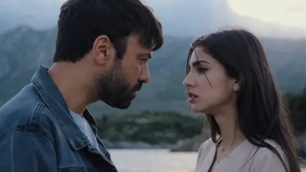 Η γη της ελιάς Βασιλική Στέφανος