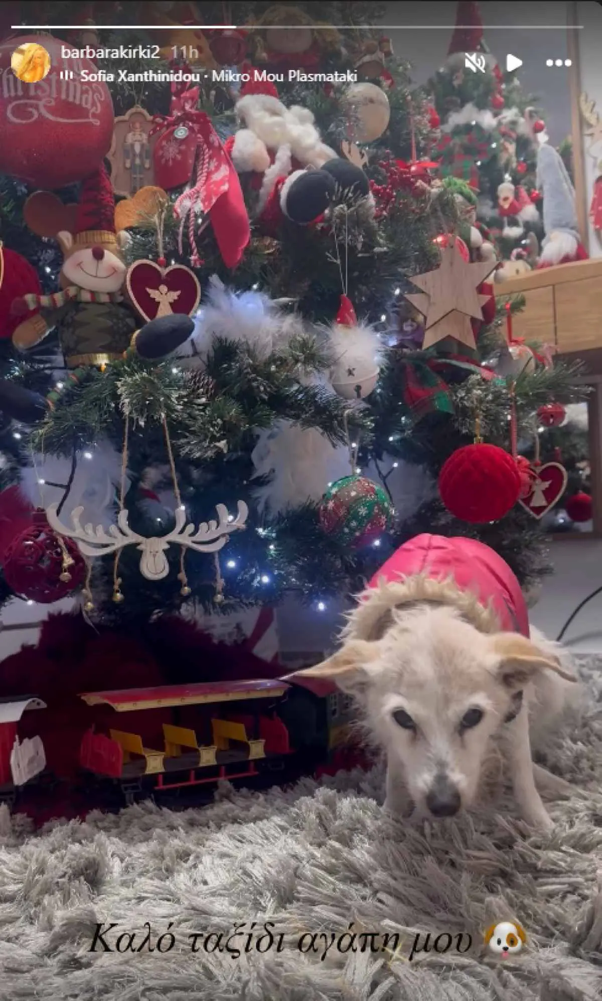 Η ανάρτηση της Βαρβάρας Κίρκη για τον θάνατο του σκύλου της