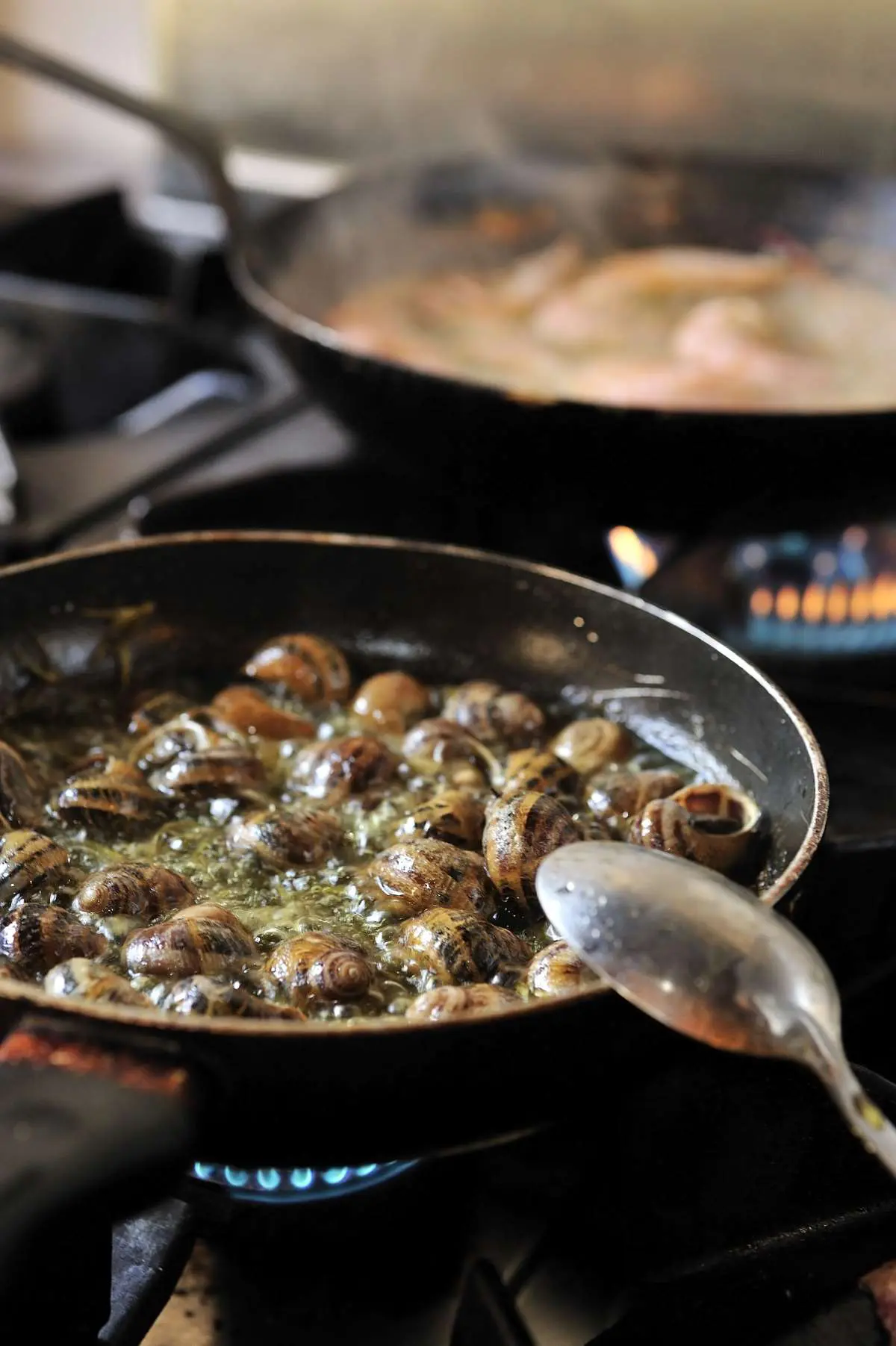 σαλιγκάρια φαγητό