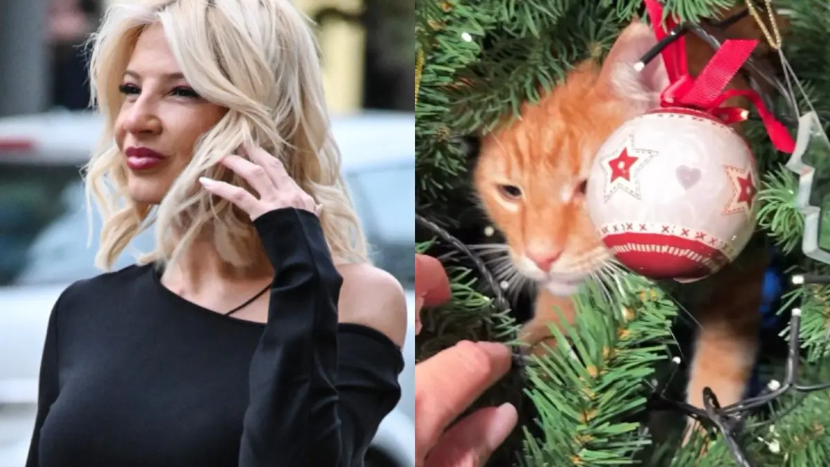 Η Φαίη Σκορδά και ο γάτος της