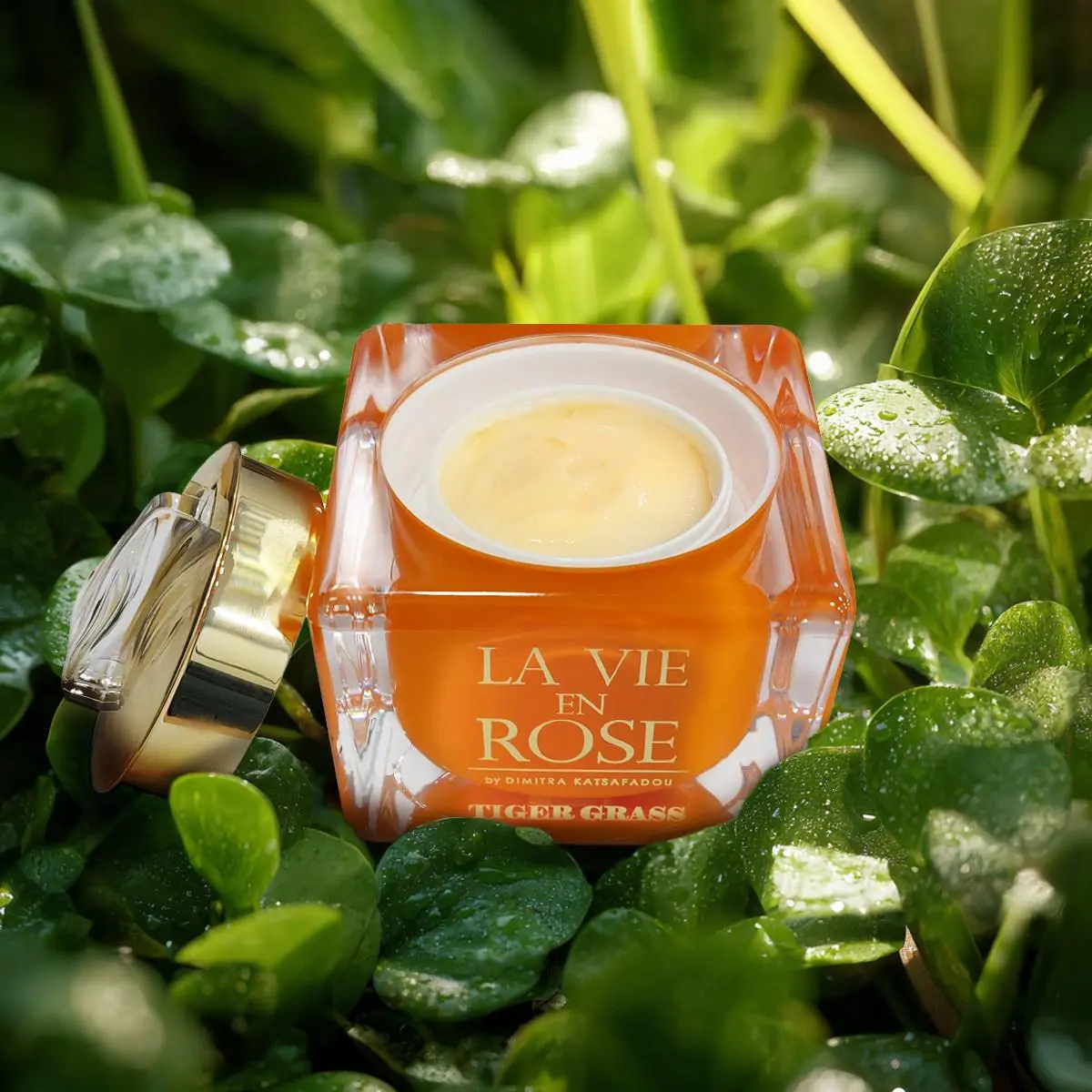 Αντιγήρανση από τη Δήμητρα Κατσαφάδου