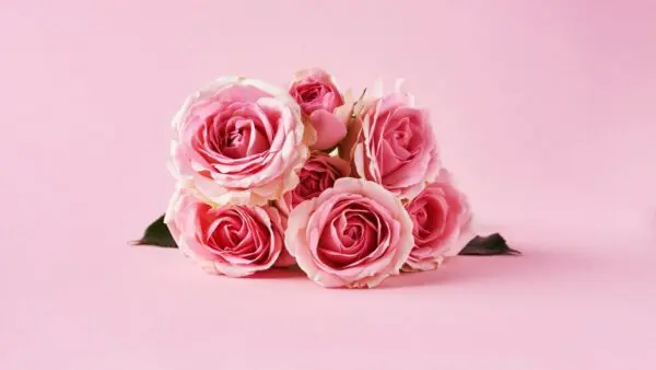 μπουκέτο λουλούδια