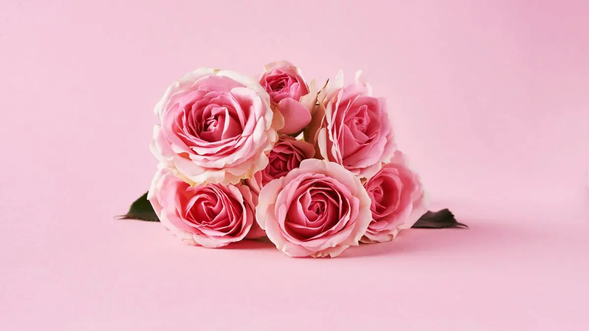 μπουκέτο λουλούδια