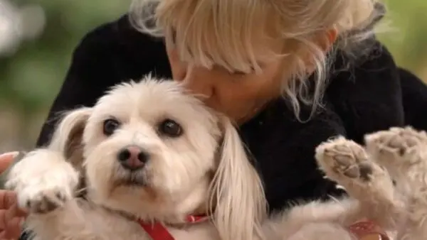 Μυρτώ Αλικάκη