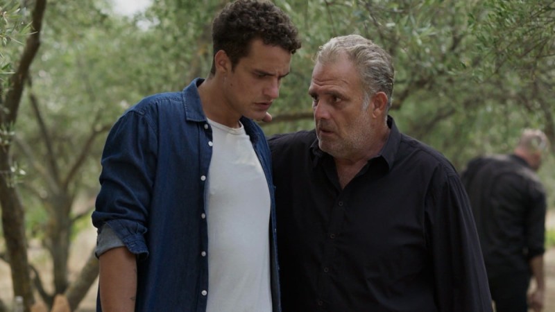 Γη της Ελιάς Στάθης