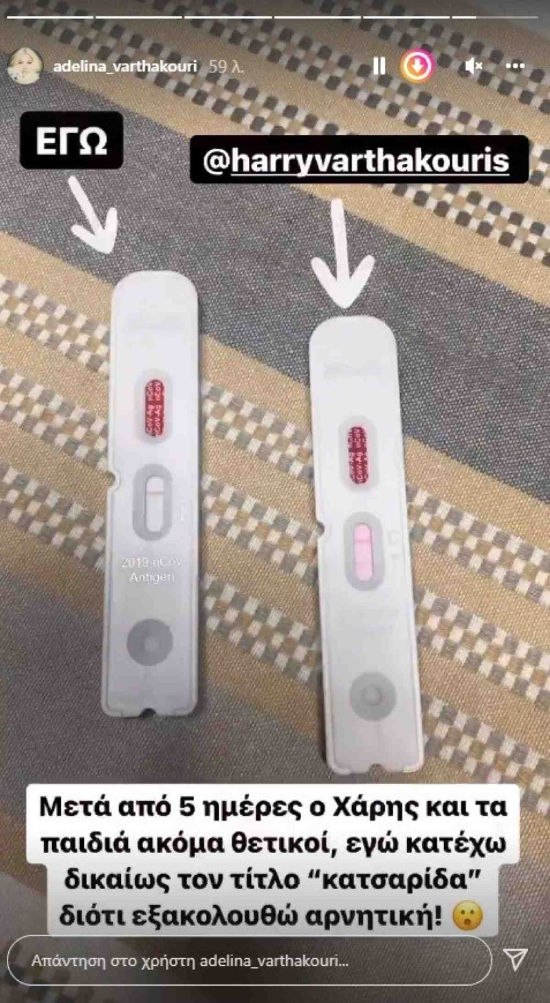 Η ανάρτηση της Αντελίνας Βαρθακούρη